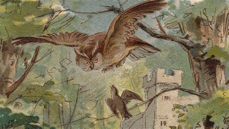 The Owl and the Nightingale - A Timeless Spanish Folktale Exploring the Tension Between Knowledge and Innocence!